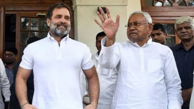 নীতীশ কুমারের সঙ্গে রাহুল গান্ধি। ছবি: ফেসবুক
