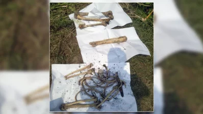 বাগজোলা খাল থেকে হাড়গোড় উদ্ধার করল ভারতের পশ্চিমবঙ্গের সিআইডি। ছবি: সংগৃহীত 