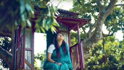 সবুজ মাঠের মাঝখানে একটি বড় গাছের উপর ছোট ছোট ঘর তৈরি করা হয়েছে। ছবি: সংগৃহীত