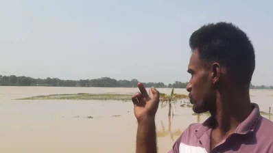 পানিতে তলিয়ে গেছে অনেক এলাকার ফসল। ছবি: ইনডিপেনডেন্ট টেলিভিশন