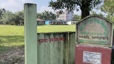 ফাইল ছবি