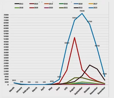 Graph