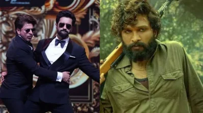 শাহরুখ-ভিকি ও আল্লুর পুষ্পা। ছবি: সংগৃহীত