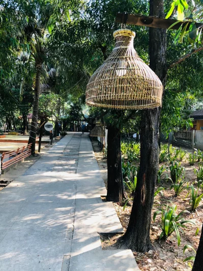 মূল ফটক থেকে লবি পর্যন্ত যেতেই পরিষ্কার ধারণা করা যায় কেন ইকো রিসোর্ট বলা হয়। ছবি: মারমেইড