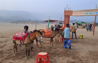 সিলেটের কোম্পানীগঞ্জের সাদাপাথর এলাকায়ও রয়েছে ঘোড়ার কদর। ছবি: জাবেদ রহিম বিজন
