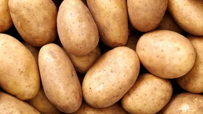 জিএম আলু। ছবি: সংগৃহীত