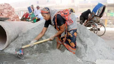 ফাইল ছবি