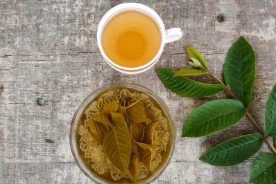 শুনতে অবাক লাগলেও পেয়ারার পাতা দিয়েই তৈরি হয় এই চা। ছবি: সংগৃহীত