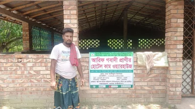 ডুগডুগি গরুর হাটের পাশেই একটি আমবাগানের ভেতর গরুর &lsquo;আবাসিক হোটেল&rsquo; তৈরি করেছেন আরিফুল ইসলাম। ছবি: ইনডিপেনডেন্ট টেলিভিশন&nbsp;