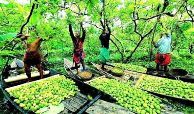  সকাল ৮টা থেকে দুপুর ২টা পর্যন্ত খালের বুকে জমে ওঠে শতাধিক নৌকার সমারোহ। ছবি: লেখক