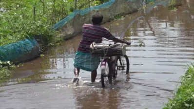  বিলডাকাতিয়া এলাকার কৃষ্ণ নগর গ্রামের মাঠ-ঘাট পানিতে তলিয়ে আছে। ছবি: ইনডিপেনডেন্ট টেলিভিশন