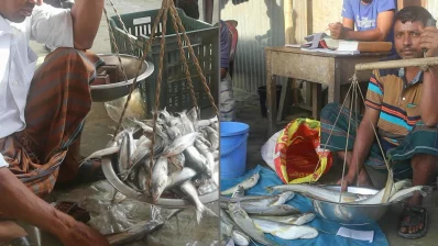 হাওরের মিঠা পানিতে প্রাকৃতিকভাবে ২৬০ প্রজাতির মাছ পাওয়া গেলেও এখন বাজারে দেখা মিলছে ২০&ndash;৩০ প্রজাতির মাছ। ছবি: ইনডিপেনডেন্ট টেলিভিশন