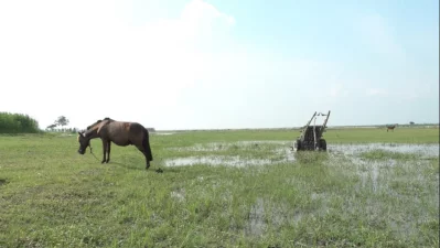 সেরা প্রামাণ্যচিত্রে উঠে এসেছে জমি অধিগ্রহণের বিরুদ্ধে সামাজিক আন্দোলন। ছবি: নির্মাতার সৌজন্যে