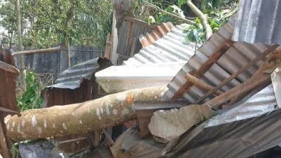ঝড়ে গাছ ভেঙে পড়ে বাড়িঘর ভেঙে গেছে। ছবি: ইনডিপেনডেন্ট টেলিভিশন