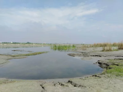 ভূগর্ভস্থ পানির অবস্থাও ভয়াবহ। ছবি: লেখক