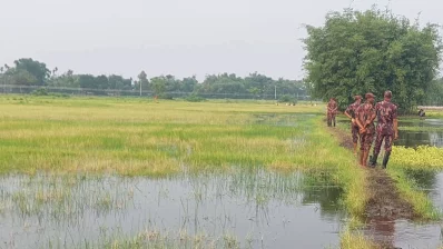 বর্তমানে সীমান্তের উভয় পাশে বিজিবি ও বিএসএফের টহল দল সতর্ক অবস্থায় রয়েছে। ছবি: ইনডিপেনডেন্ট