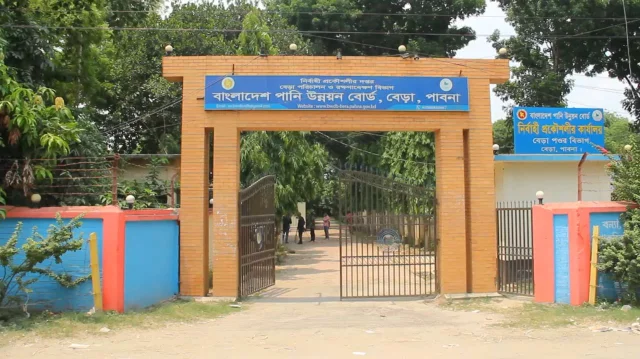 পাবনার বেড়া পানি উন্নয়ন বোর্ড। ছবি: ইনডিপেনডেন্ট
